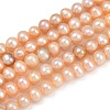 Natural Cultured Freshwater Pearl Beads Strands PEAR-I007-07Y-01B-2