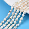 Natural Cultured Freshwater Pearl Beads Strands PEAR-N012-05C-1