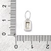 925 Sterling Silver Cubic Zirconia Charms STER-NH0014-01P-08-3