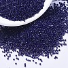 MIYUKI Delica Beads SEED-X0054-DB2144-1