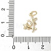 Brass Micro Pave Cubic Zirconia Charms ZIRC-I356-32G-3