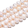 Natural Cultured Freshwater Pearl Beads Strands PEAR-N013-04E-4