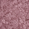 FGB Frosted Transparent Glass Seed Beads SEED-N013-06A-06-3