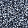 8/0 Ceylon Round Glass Seed Beads X-SEED-A011-3mm-149-2