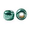 TOHO 11/0 Round Beads SEED-TR11-PF0561-3