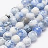 Faceted Natural Fire Crackle Agate Beads Strands G-F447-8mm-B09-1