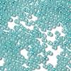 Glass Seed Beads X1-SEED-H002-E-A1419-3