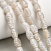 Tibetan Style dZi Beads Strands GG-CBA4812-C05-8X12MM-1