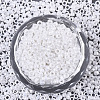 Glass Seed Beads SEED-S042-08A-01-2