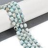 Natural Larimar Beads Strands G-O201B-105E-1