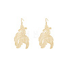 Baking Paint Iron Dangle Earrings WGA271E-01-2