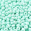 Baking Paint Glass Seed Beads X1-SEED-B001-02A-14-3