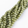 Natural Gemstone Beads GSR6mmC032-3