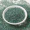 MIYUKI Round Rocailles Beads X-SEED-G008-RR0277-2