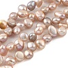 Natural Cultured Freshwater Pearl Beads Strands PEAR-A006-19A-X-2