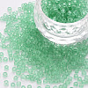 8/0 Transparent Glass Seed Beads SEED-S048-H-011-1