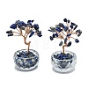 Natural Lapis Lazuli Chip Pachira Glabra Display Decorations DJEW-K025-04E-1