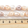 Natural Cultured Freshwater Pearl Beads Strands PEAR-P062-26F-5