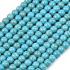 Synthetic Turquoise Beads Strands TURQ-F007-01B-6mm-2