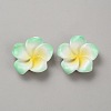 Two Tone Resin Cabochons RESI-WH20010-01B-1