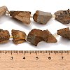 Raw Rough Natural Picture Jasper Beads Strands GG-CBA0B77-A08-01-4