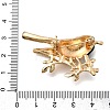 Bird Zinc Alloy Rhinstone Brooches JEWB-V001-04D-3