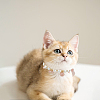 2Pcs Glass Pearl Beads & Iron Chain Pet Collar NJEW-DR00004-5