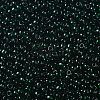 TOHO 11/0 Round Beads SEED-TR11-0939-2