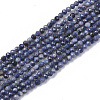 Natural Sapphire Beads Strands G-S361-2mm-009-1