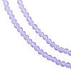 Transparent Glass Beads Strands GLAA-N041-009-05-3