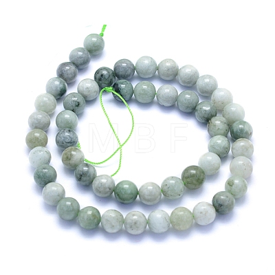 Natural Myanmar Jade/Burmese Jade Beads Strands G-I279-C02-8mm-1