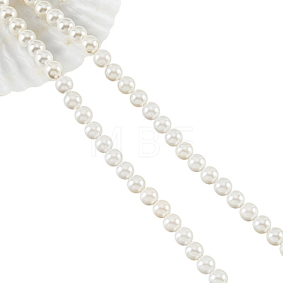 Natural White Shell Beads Strands SHEL-WH0001-009B-1