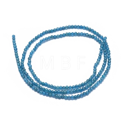 Natural Apatite Beads Strands G-A177-04-12-1