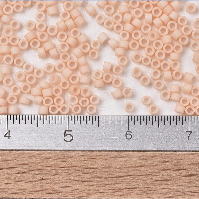 MIYUKI Delica Beads X-SEED-J020-DB1512-1