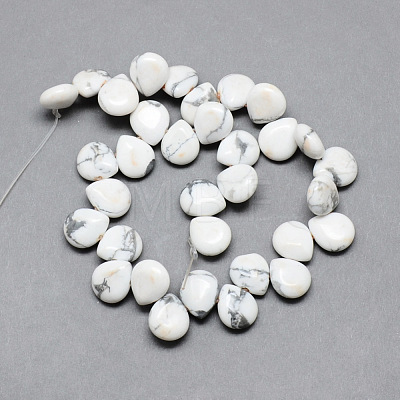 Natural Howlite Gemstone Beads Strands G-T005-17-1