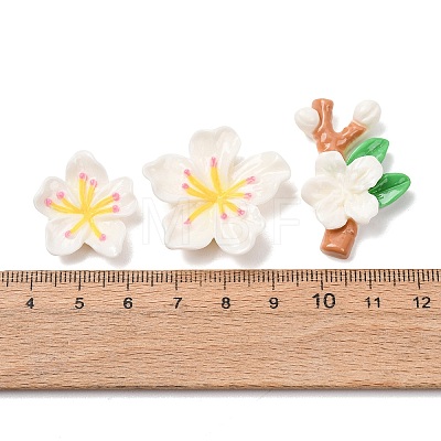 Opaque Resin Cabochons CRES-A064-01A-1