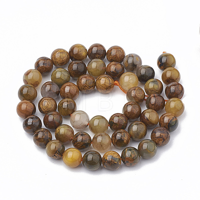 Natural Pietersite Beads Strands G-S333-12mm-010-1