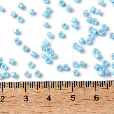 Baking Paint Glass Seed Beads X-SEED-S042-15A-10-1