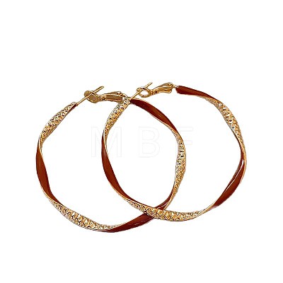 Alloy Enamel Hoop Earrings FS-WG76269-01-1