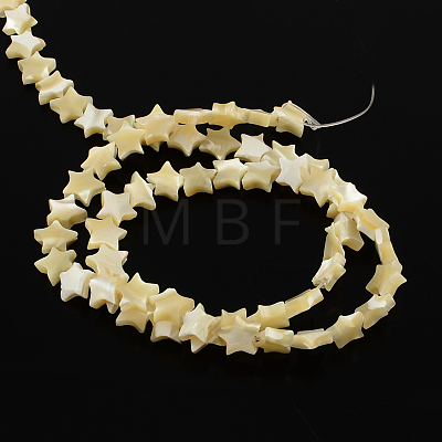 Star Natural White Shell Beads Strands BSHE-Q025-14B-1