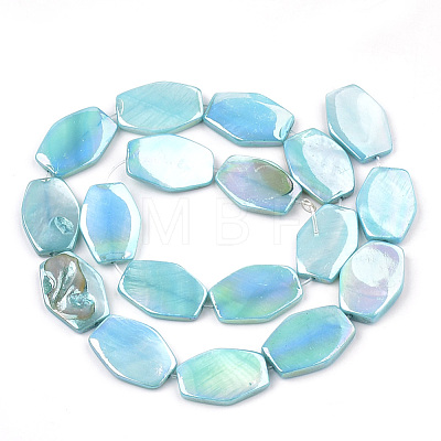 AB Color Freshwater Shell Bead Strands X-SHEL-T009-04-1