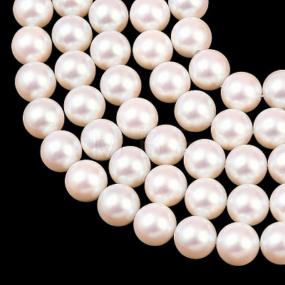 Electroplated Shell Pearl Beads Strands BSHE-C011-01C-1