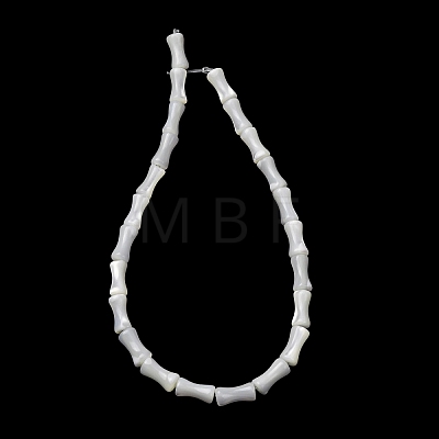 Natural Trochid Shell/Trochus Shell Beads Strands SH-CBA2978-12-1