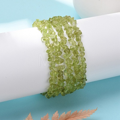 Unisex Chip Natural Peridot Beaded Stretch Bracelets BJEW-S143-51-1