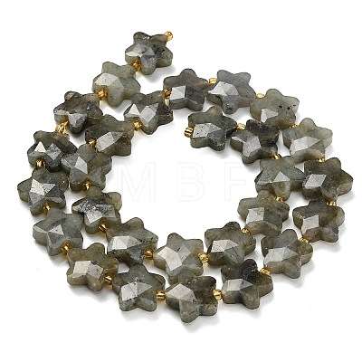 Natural Gray Labradorite Beads Strands G-L657-A02-01-1