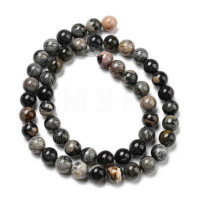 Natural Black Silver Leaf Jasper Beads Strands G-R494-A17-03-1