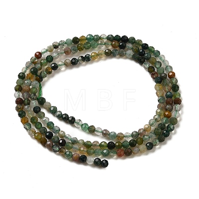 Natural Indian Agate Beads Strands G-J002-03K-1