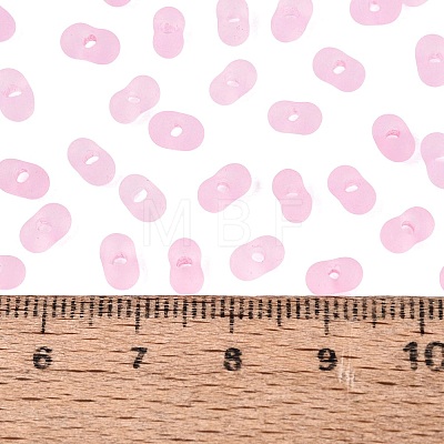 FGB Frosted Transparent Glass Seed Beads SEED-N013-06A-05-1