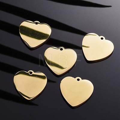 304 Stainless Steel Pendants STAS-I140-10A-G-1