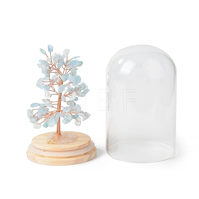 Natural Aquamarine Chips Money Tree in Dome Glass Bell Jars with Wood Base Display Decorations DJEW-B007-04C-1